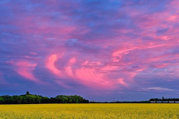 Canada-Manitoba-Dugald Clouds at sunset on prairie